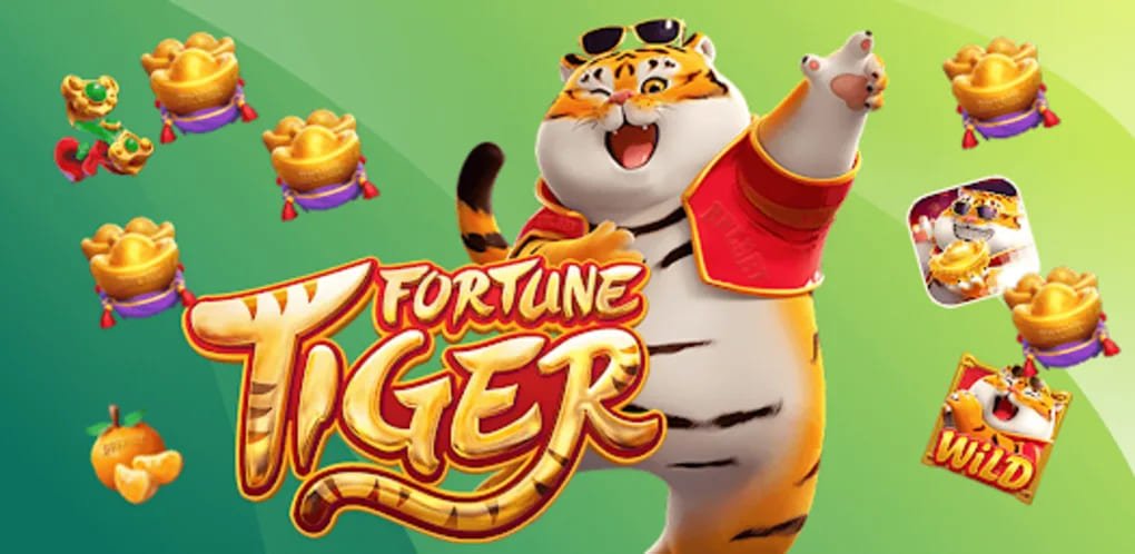 Studio Bandar Poker live di maxwin777 dengan dealer berpengalaman